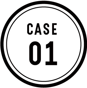 CASE 01