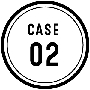 CASE 02