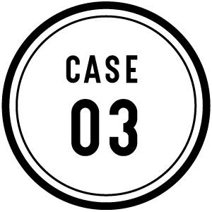 CASE 03
