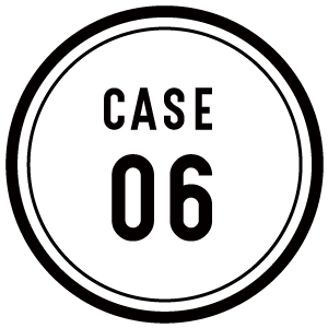 CASE 06
