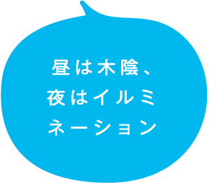 昼は木陰、夜はイルミネーション